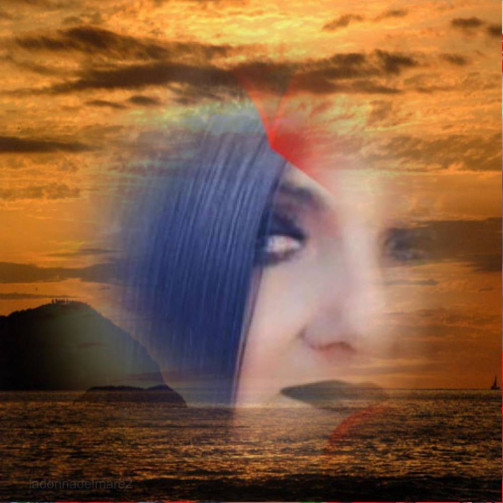 Meet your Posher, Dotti